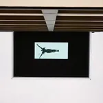 Impulshotel Freigold 4*