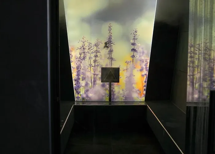 Impulshotel Freigold Отель 4*