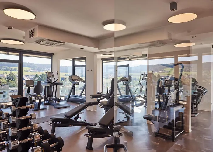 Otel Impulshotel Freigold Freistadt